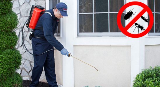 Eleşkirt Gümüşkurt İlaçlama böcek ilaçlama ve haşere kontrolü — ilaclama-tr.com